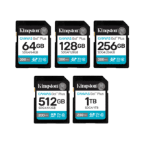 KINGSTON CANVAS GO! PLUS SD MEMORY CARD (SDG4)