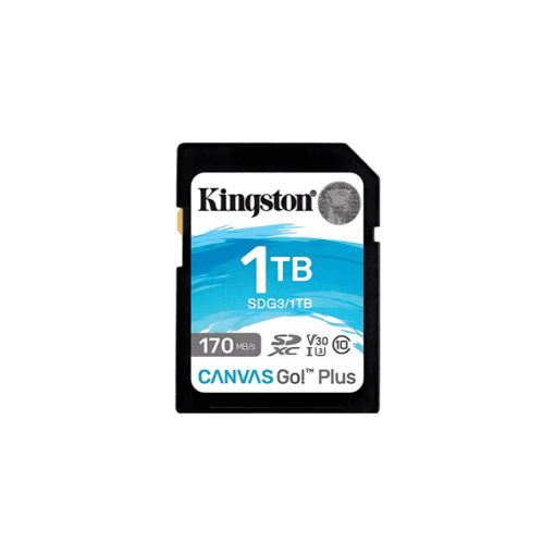 KINGSTON CANVAS GO! PLUS SD MEMORY CARD (SDG3)